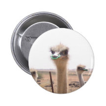 Ostrich Pinback Button