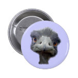 Ostrich Pinback Button