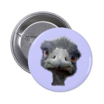 Ostrich Pinback Button