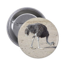 Ostrich Pins