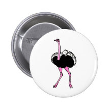 Ostrich Pins