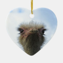 Ostrich Portrait Ornaments