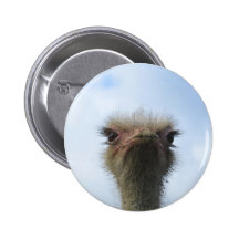Ostrich Portrait Pin