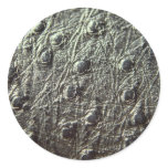 Ostrich Skin Leather stickers