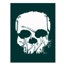 Ostrich Skull Illusion Postcard