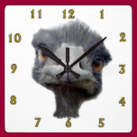 Ostrich wall clocks