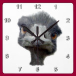 Ostrich wall clocks