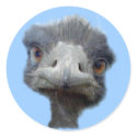 Ostrich stickers