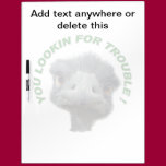 Ostrich trouble dry erase boards
