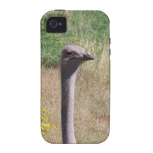 Ostrich Vibe iPhone 4 Cover