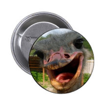 Ostrich What's Up Button