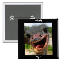 Ostrich What's Up Square Button