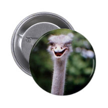 Ostrich Winking - Funny Button
