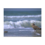 other side of sea postcards