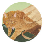 Otis the Cat Stickers