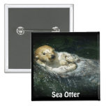Otter Beauty Wild Sea Otter Photo Art Pins