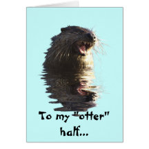 OTTER Card