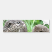 Otter Habitat Bumper Sticker