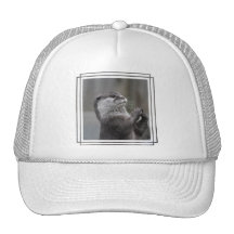 Otter Mastermind Baseball Hat