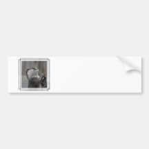 Otter Mastermind Bumper Sticker