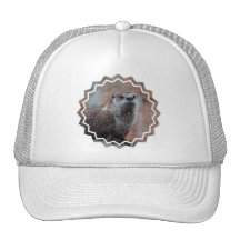 Otter Photo Baseball Hat