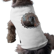Otter Photo Pet Shirt