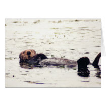 Otter Raft Card