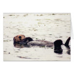 Otter Raft cards