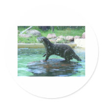 Otter Round Stickers