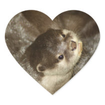 Otter