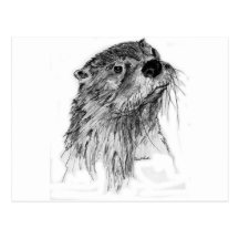 Otter Whiskers Postcard