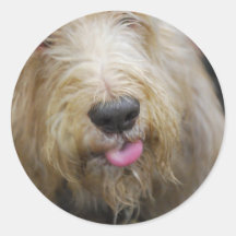 Otterhound Dog Stickers
