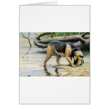 otterhound greeting card