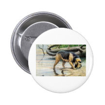otterhound pinback buttons
