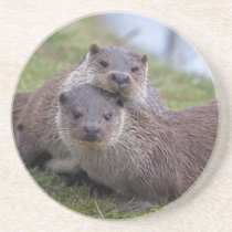 Otterly in Love Coaster