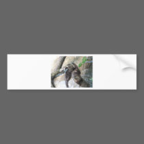OTTERS bumper stickers
