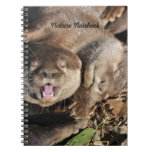 Otters notebook