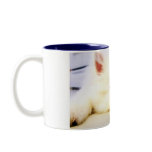 Our Dog Wiess I Photographed! mugs