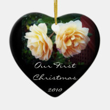 Our First Christmas 2010 Christmas Tree Ornament