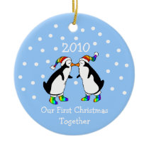 Our First Christmas Together 2010 (GLBT Penguins)
