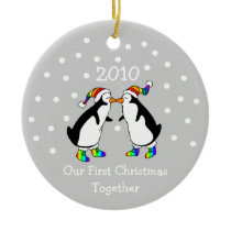 Our First Christmas Together 2010 (GLBT Penguins)