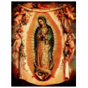 Our Lady of Guadalupe t-shirts