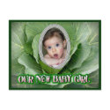 Our New Baby Girl postcards