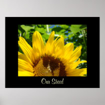 Our Star! Office gifts Sunflower art print Admins