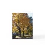 "Our Street"  Note Card