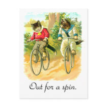Out for a spin post cards