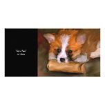 Out of Paper Corgi Collectable Photo Card photo cards