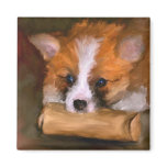 Out of Paper Corgi Dog Magnet