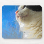 Out the Window Mouse Pads