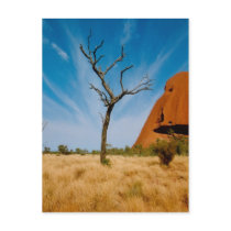 Outback Australia Post Cards